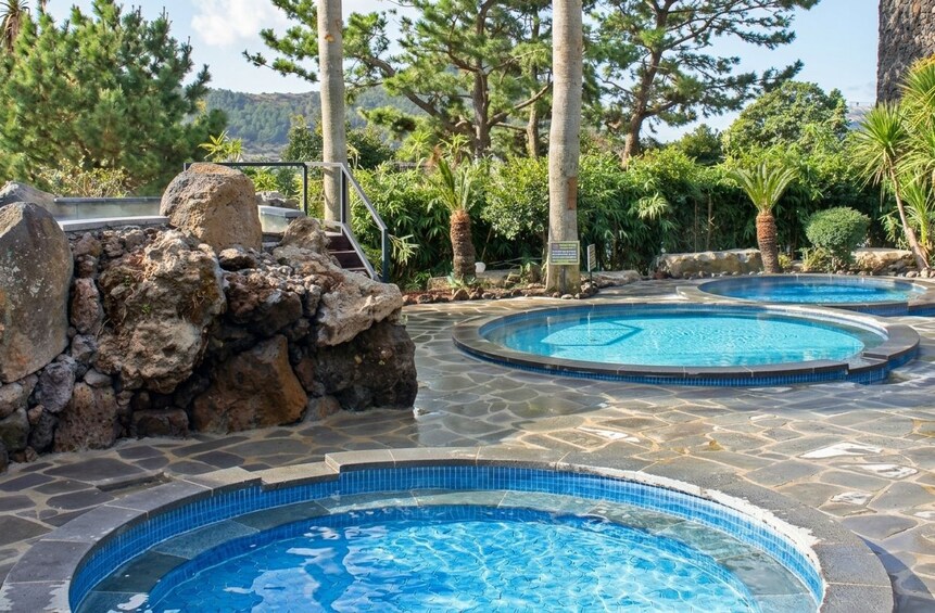 Ein Poolbereich mit mehreren kreisförmigen Pools, umgeben von Steinen und Bäumen. 1