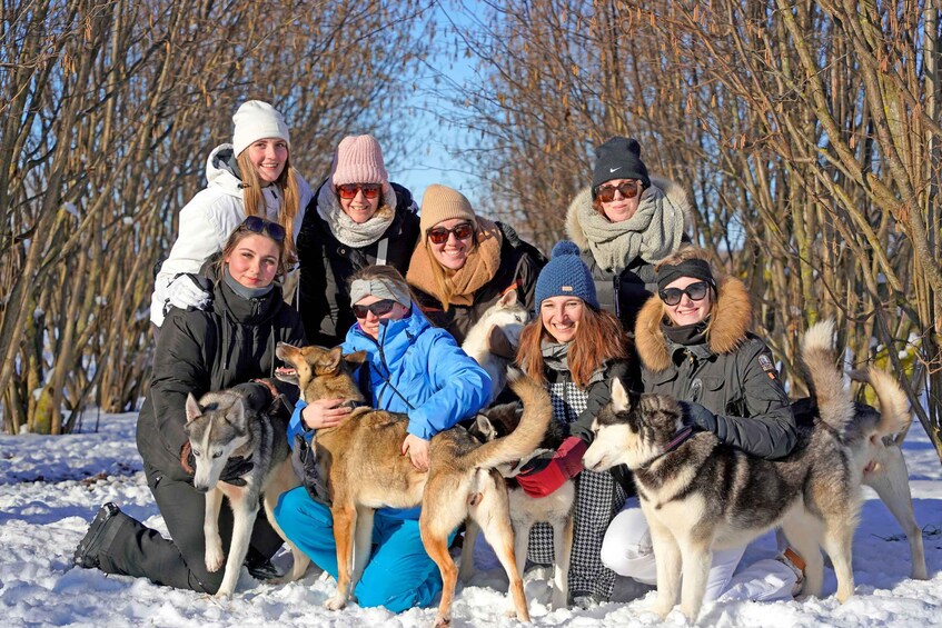 A group of people and dogs in a snowy outdoor setting with bare trees in the background. 4