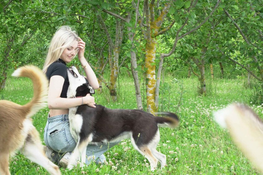 A person sitting on the grass with a dog. 5