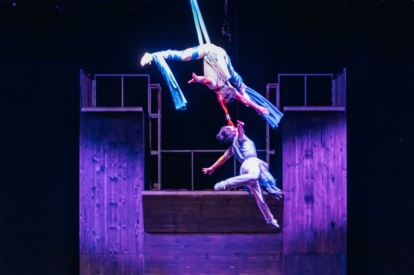 Two acrobats performing aerial maneuvers in a circus tent. 4