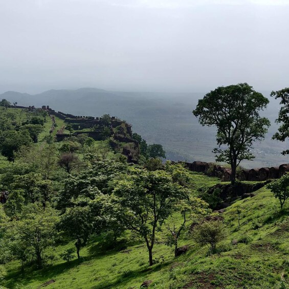 A lush green landscape with a prominent tree and a historical fortification on a hill overlooking a body of water. 4