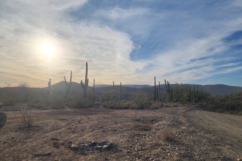 A desert landscape with sparse vegetation, a dirt road, and a clear sky. 1