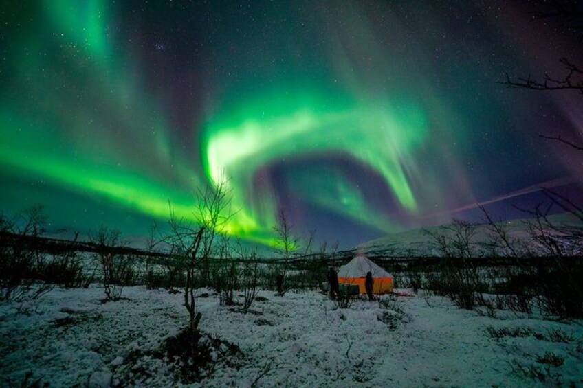 A snowy landscape with a small white building and the Northern Lights in the sky. 5
