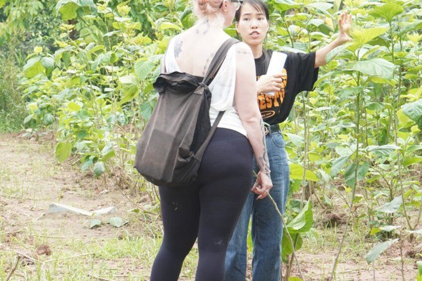 Two people walking in a garden with green plants and a dirt path. 1