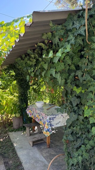 A garden with a table covered in a floral tablecloth, surrounded by lush greenery and a wooden structure. 2