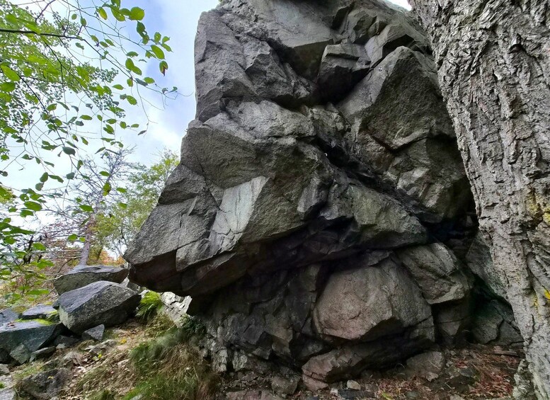 A rocky cliff with large boulders and a tree trunk. 3
