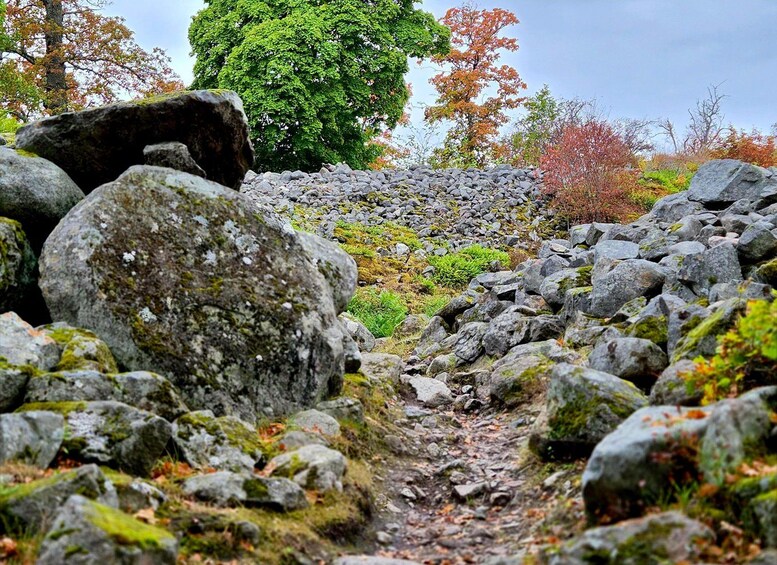 A rocky trail with moss-covered stones and autumn-colored trees in the background. 5
