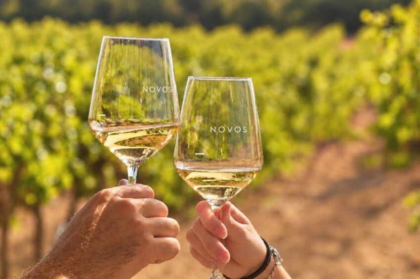 Two hands holding wine glasses with the brand 'NOVOS' in a vineyard. 4