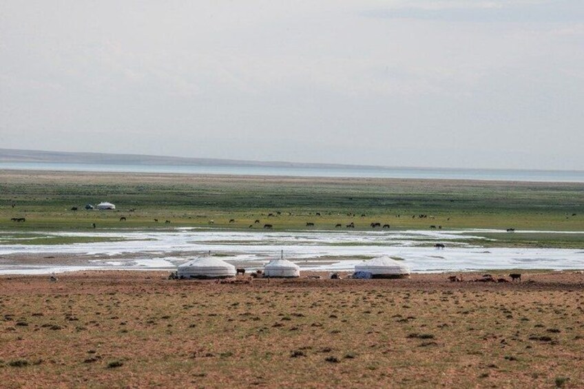 A vast grassland with yurts and grazing animals. 2