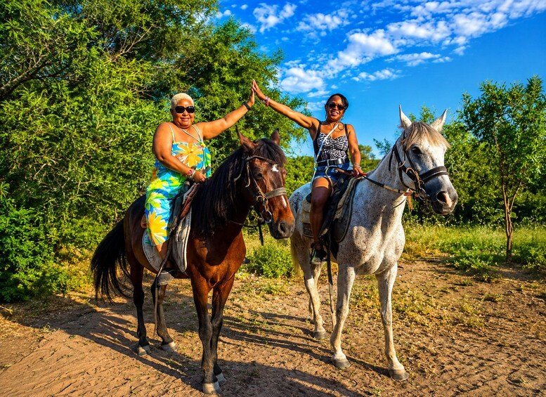 Two people riding horses on a dirt path with trees in the background. 2