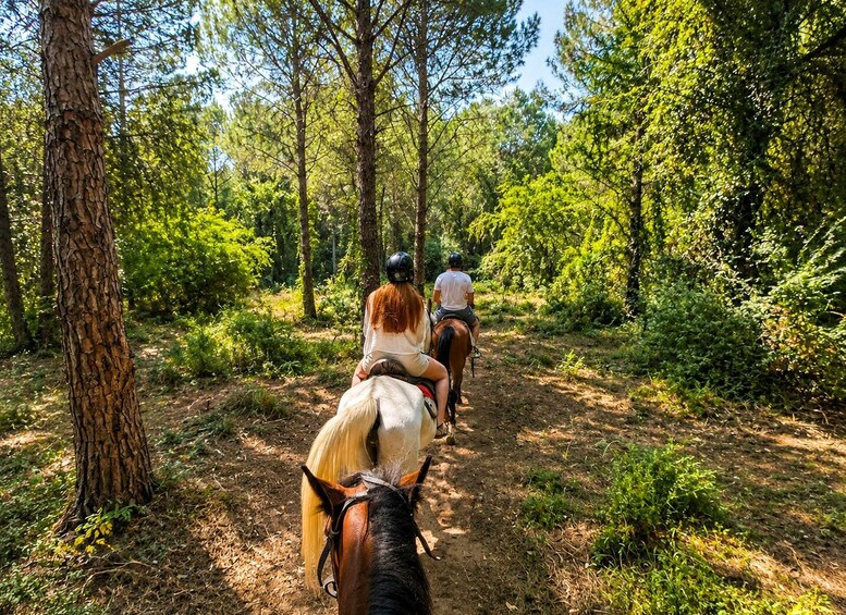 Two people horseback riding on a forest trail. 4