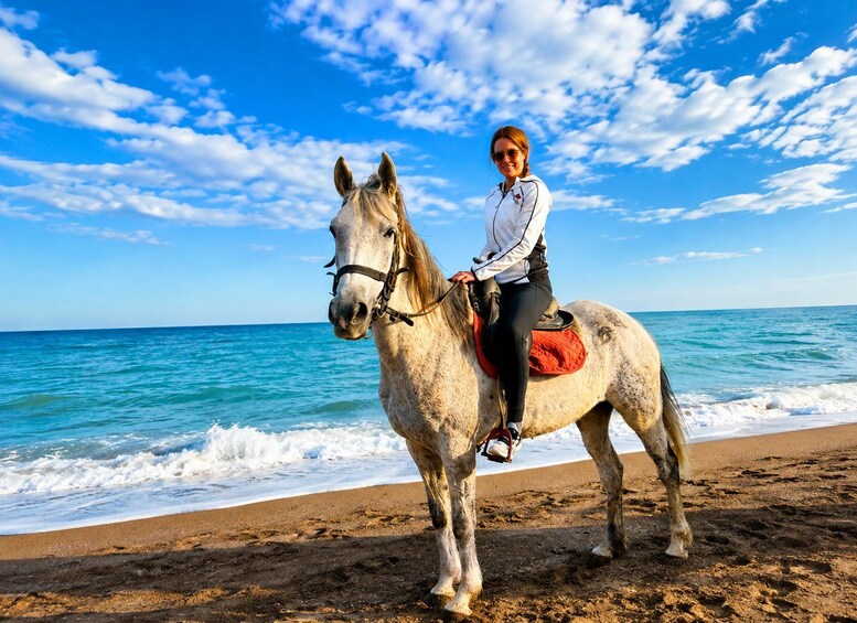 A person riding a horse on a beach with the ocean in the background. 3