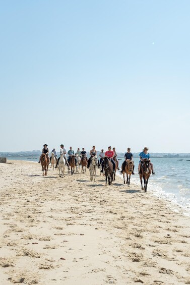Picture 4 for Activity Horseback Riding On The Beach + Tapas + Photo Report - PDT 5