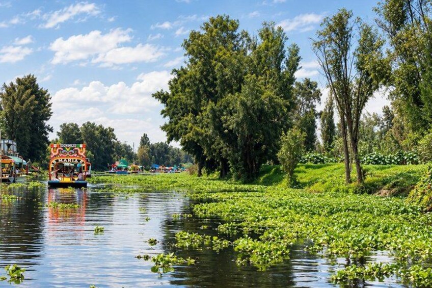 A river with boats, lush greenery, and trees. 3