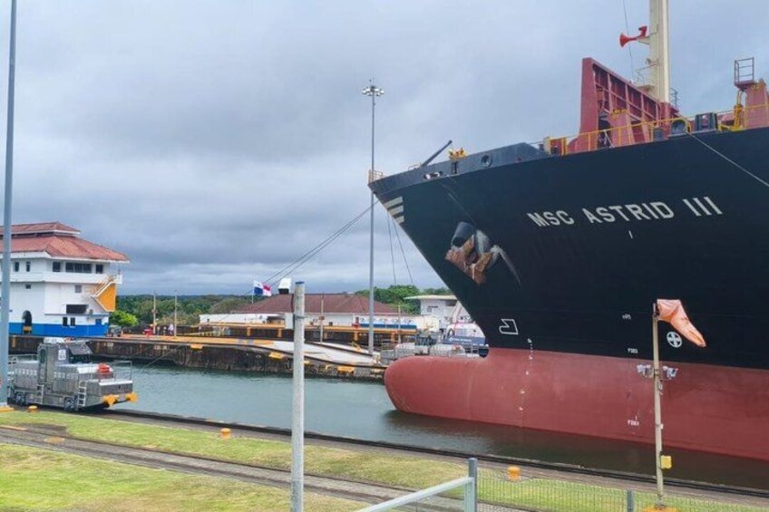 A large ship named MSC Astrid III docked at a port with a crane and a small building in the background. 3