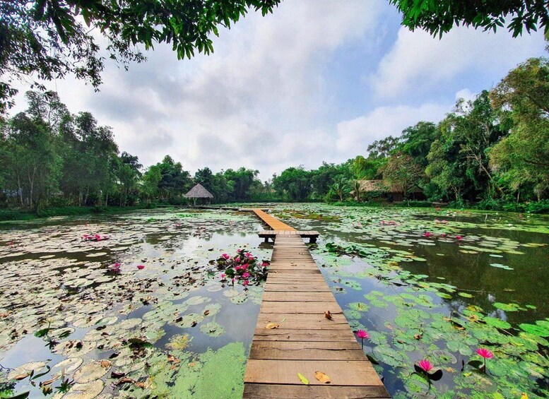A wooden pier extending into a pond with lily pads and pink water lilies. 1