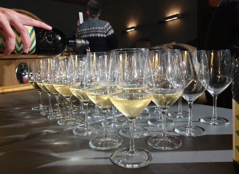 A person pouring a drink into a row of wine glasses on a bar. 3
