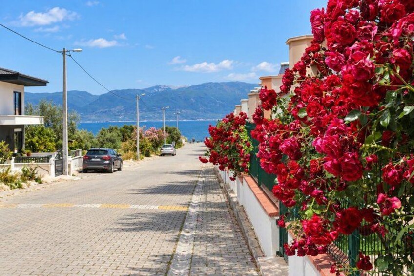 A coastal road with red flowers, a car, and houses. 3