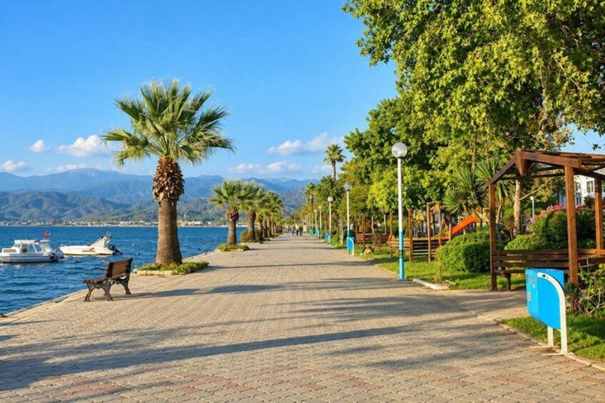 A waterfront promenade with palm trees, benches, and a boat docked on the left. 4