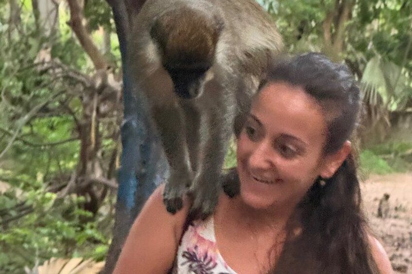 A person holding a monkey in a forested area. 4