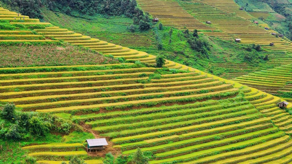 Picture 6 for Activity Mù Cang Chải: 3-Days Trekking Tour with Homestay 4