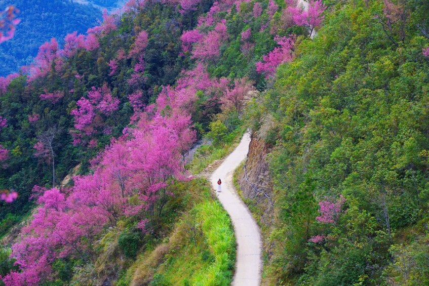 Picture 17 for Activity Mù Cang Chải: 3-Days Trekking Tour with Homestay 2