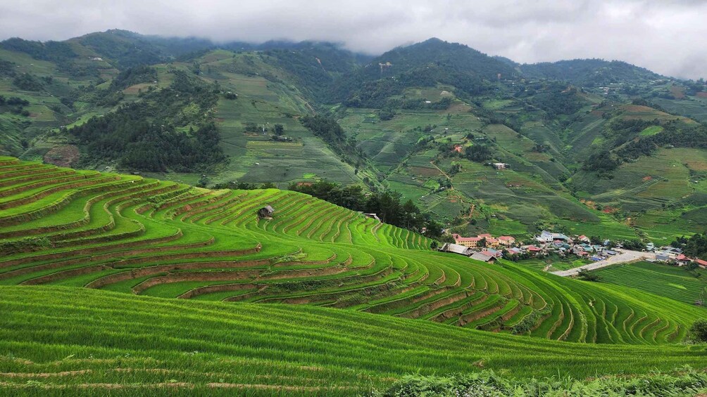 Mù Cang Chải: 3-Days Trekking Tour with Homestay 1
