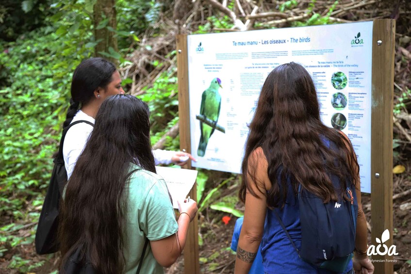 Three people examining a sign about birds in a forested area. 1