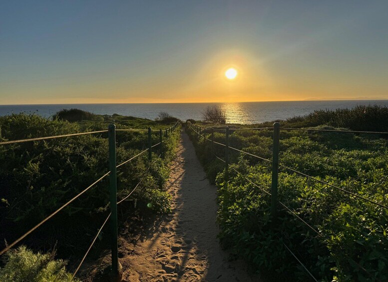 A sunlit path leading to the ocean with a fence on either side. 1