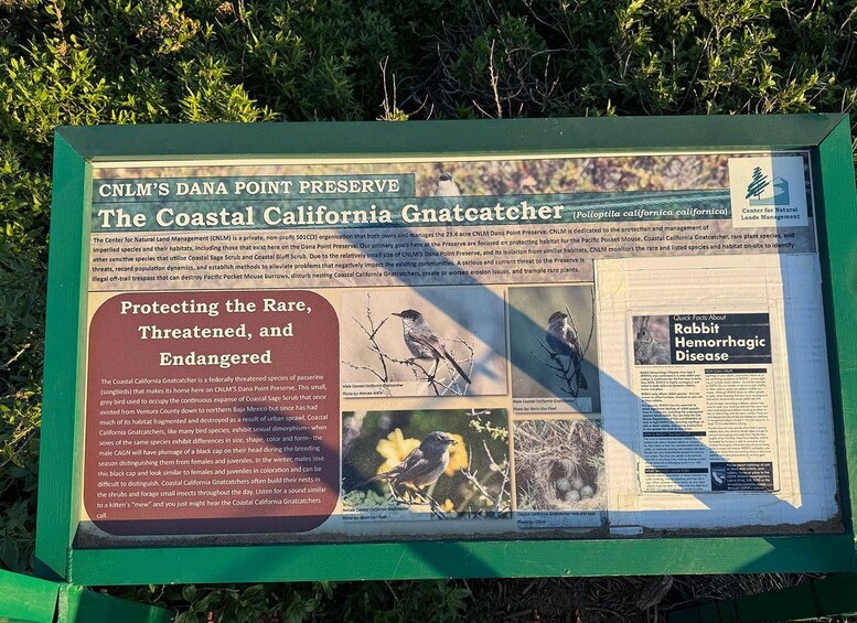 A signboard with information about the Coastal California Gnatcatcher, its threats, and conservation efforts. 3
