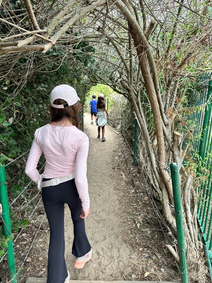 A person walking on a dirt path surrounded by dense vegetation and a metal fence. 2