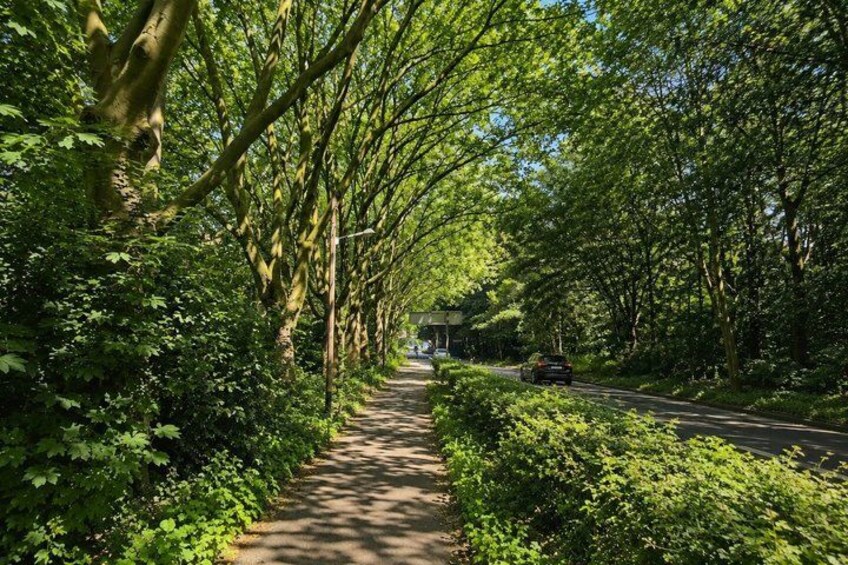 A tree-lined pathway with a road parallel to it. 2