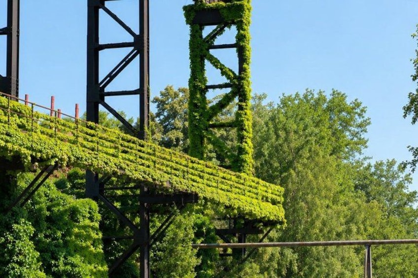 A bridge covered in green ivy, with trees and a clear sky in the background. 5