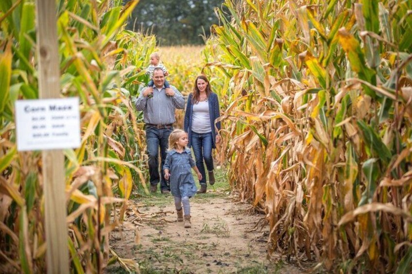 A family walking through a cornfield with a sign that reads 'Corn Maze.' 1