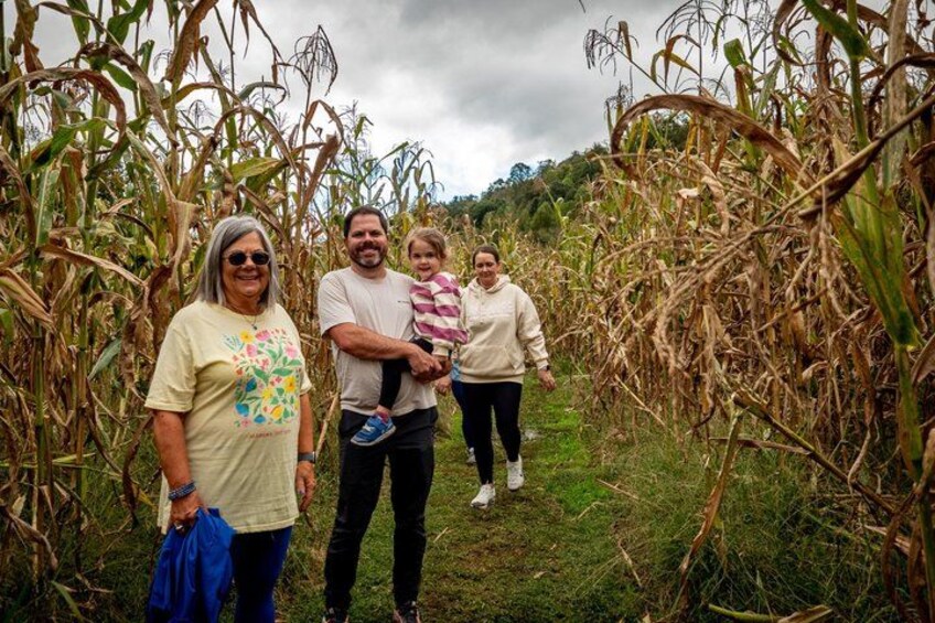 A family walking through a cornfield. 5