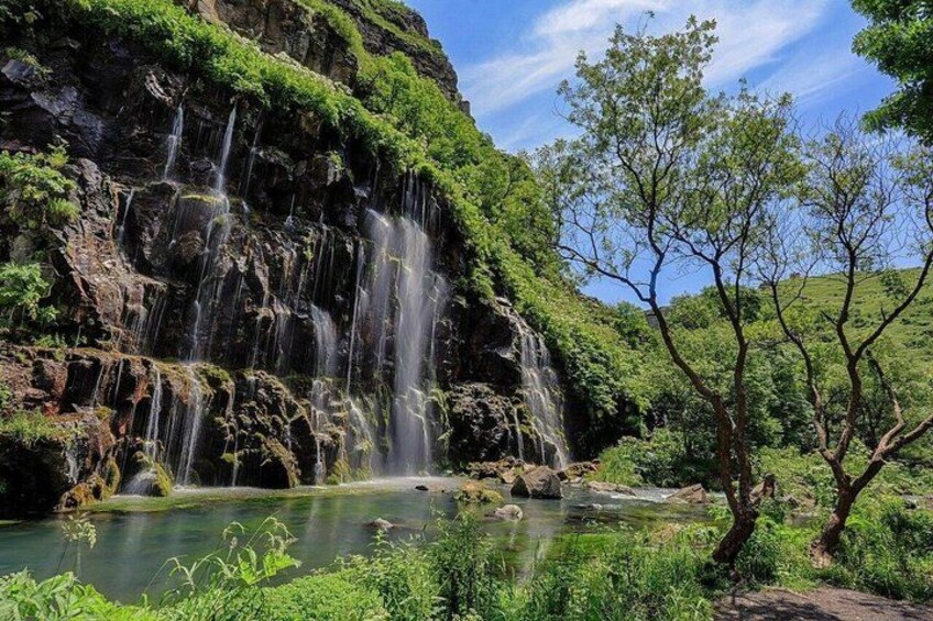 A waterfall cascading into a clear pool surrounded by lush greenery and trees. 3