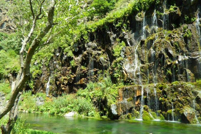 A waterfall cascading over a rocky cliff into a clear pool surrounded by lush greenery. 2