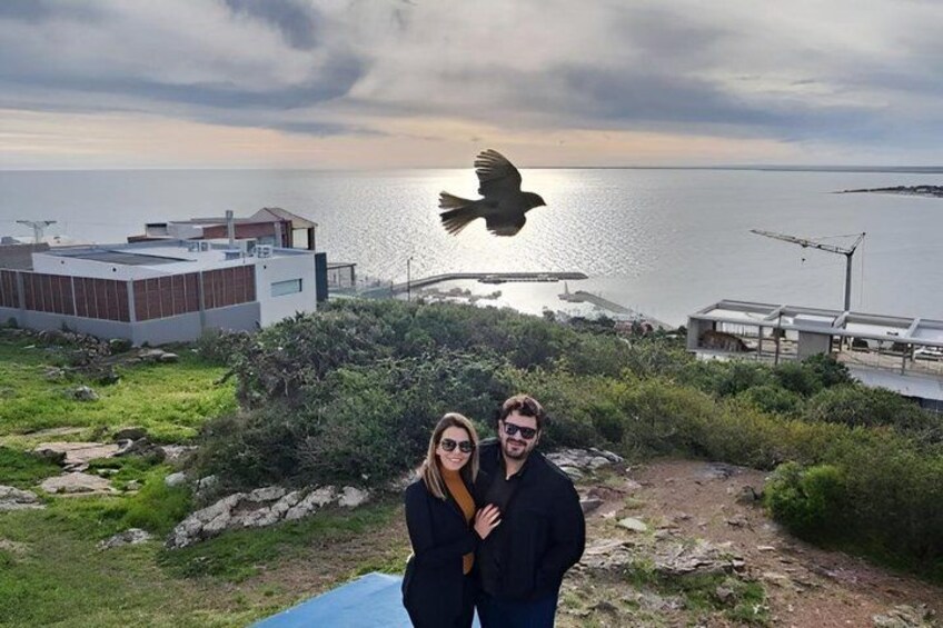 Private tour to Punta del Este from Montevideo 5