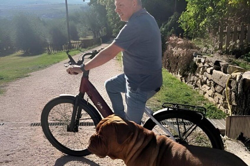 A person riding a bicycle on a paved path with a dog lying on the ground beside the bike. 2
