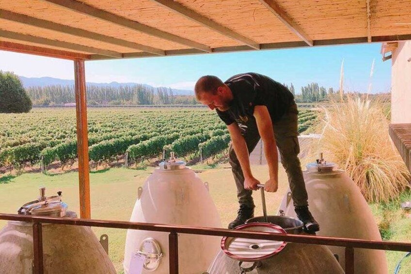 A person operating a large white tank in a vineyard. 1