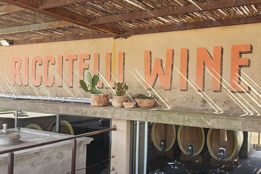 A rustic wine cellar with wooden barrels and a sign that reads 'RICCITELLI WINE'. 5