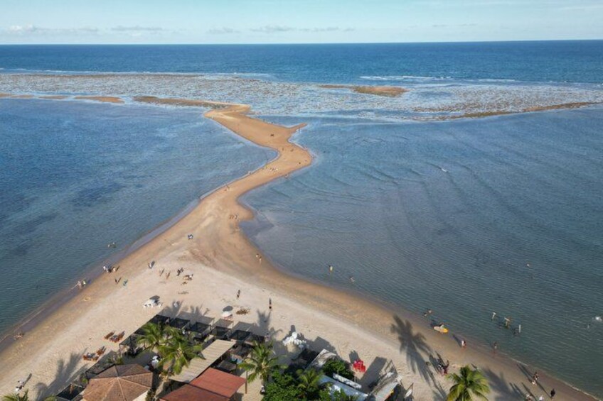 A beach with a winding water channel, palm trees, and beach umbrellas. 5