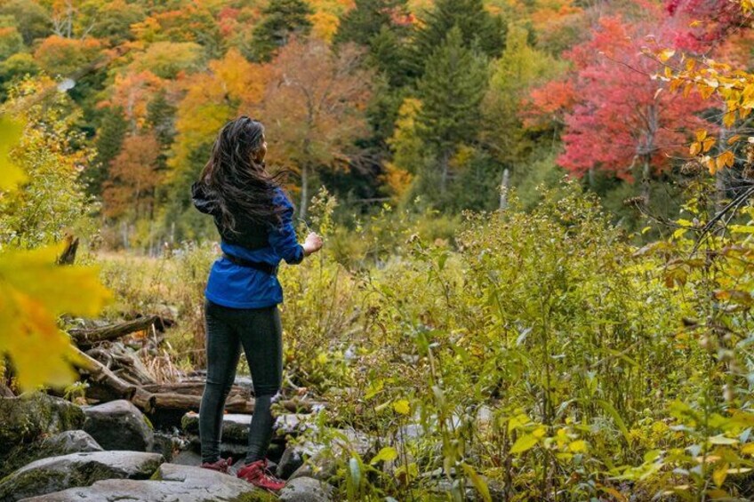 A person hiking in a forest with autumn foliage. 4