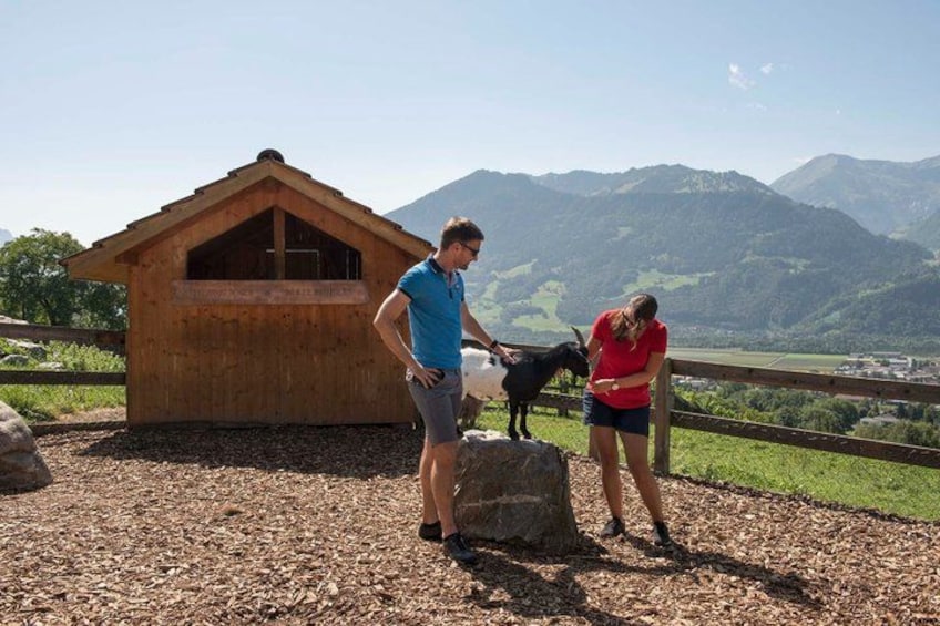 Two people interacting with a goat near a wooden structure in a mountainous area. 4