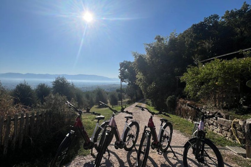 A sunny day with bicycles parked on a path, surrounded by greenery and a clear view of distant mountains. 1