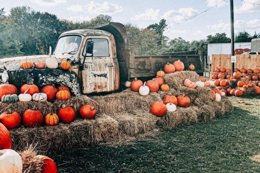 An old truck surrounded by hay bales and pumpkins. 5