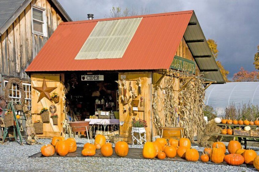 A rustic cider house with a red roof and wooden walls, surrounded by pumpkins. 4