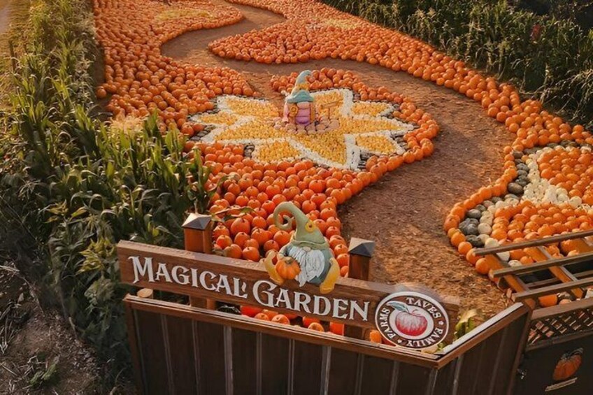 A garden with a pumpkin display and a sign reading 'Magical Garden.' 1