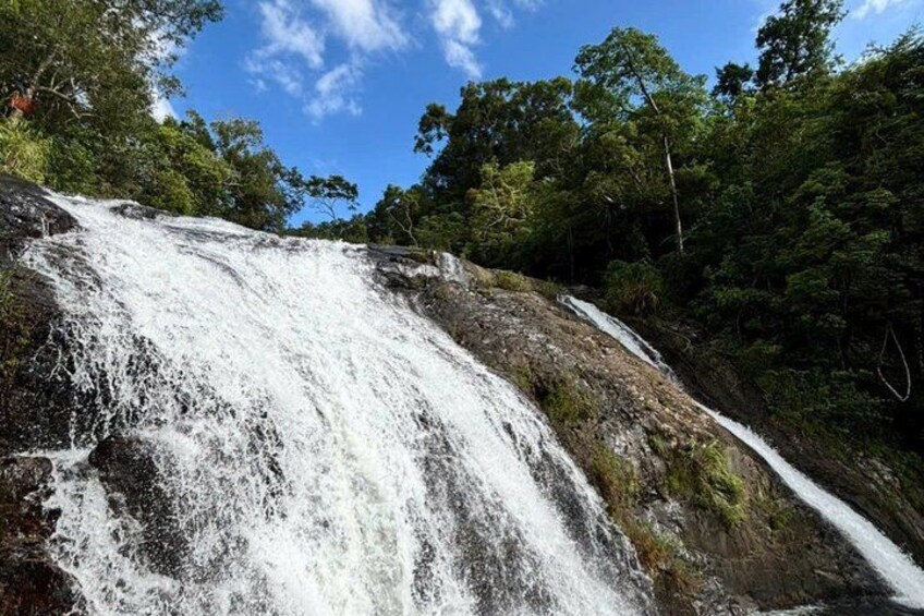 Lak Lake Experience Gentle Giants and Majestic Waterfalls 4