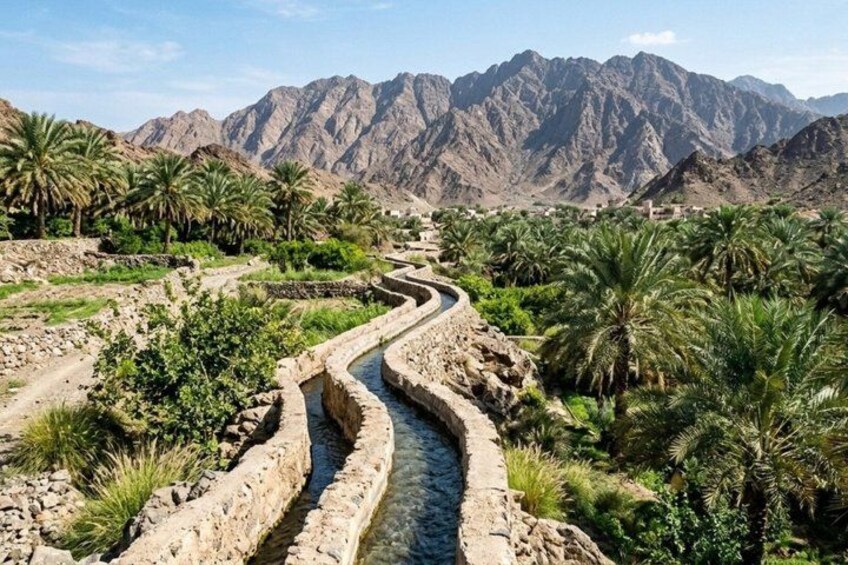 A winding water channel with palm trees and mountains in the background. 3